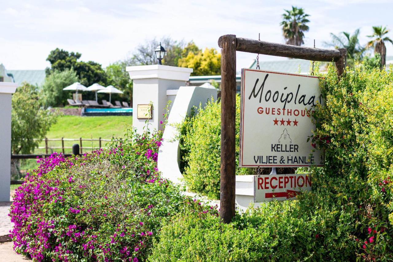 Mooiplaas Guesthouse Oudtshoorn Zewnętrze zdjęcie